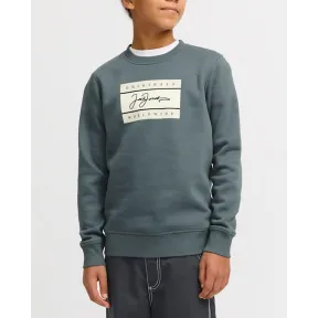 Sudadera Jack & Jones para niño desde 11€ - Varios modelos