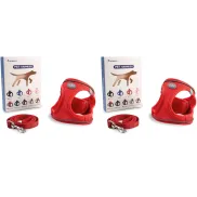 Arneses para perros con correa, varios colores y tamaños.