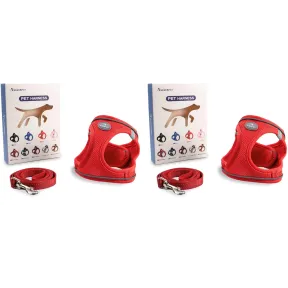 Arneses para perros con correa, varios colores y tamaños.
