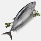 Bonito fresco a 6.75 € por kilogramo