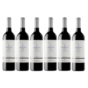 Vino Tinto Pago del Cielo Celeste Roble - 6 botellas 75 cl