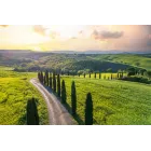 Toscana en noviembre: 8 noches ¡Vuelos, hotel y coche desde 361€!