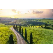 Toscana en noviembre: 8 noches ¡Vuelos, hotel y coche desde 361€!