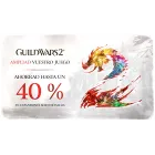 Expansiones de Guild Wars 2 con 40% de descuento