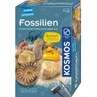 Kit de Excavación de Fósiles KOSMOS: Martillo y Cincel