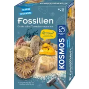Kit de Excavación de Fósiles KOSMOS: Martillo y Cincel