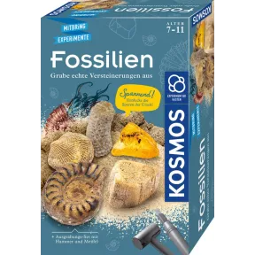 Kit de Excavación de Fósiles KOSMOS: Martillo y Cincel