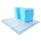 Empapadores 56x56 cm Amazon Basics 150 unidades con control de olores