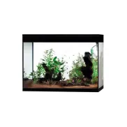 Acuario XXL 130L Askoll Pure: Filtro, LED y Temporizador