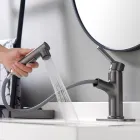 Grifo de baño con pulverizador extraíble para lavabo