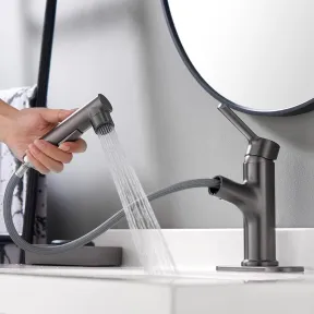 Grifo de baño con pulverizador extraíble para lavabo