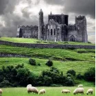 Vuelos DIRECTOS a Irlanda por solo 36€ en octubre desde Barcelona y Girona