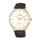 Estilo clásico: Reloj Citizen Eco-Drive
