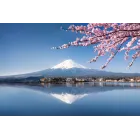 Viaje a Japón: 14 días desde Madrid en enero, todo incluido