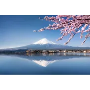 Viaje a Japón: 14 días desde Madrid en enero, todo incluido