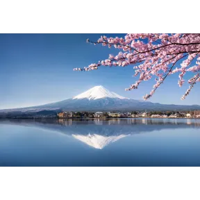 Viaje a Japón: 14 días desde Madrid en enero, todo incluido