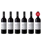 Supernova Reserva 2020 - Pack de 6 Botellas D.O. Ribera del Duero