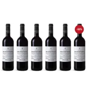 Supernova Reserva 2020 - Pack de 6 Botellas D.O. Ribera del Duero