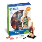 Recursos de Aprendizaje: Modelo Anatómico del Cuerpo Humano