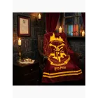 Manta Harry Potter Hogwarts 130x160cm – Escudo Dorado