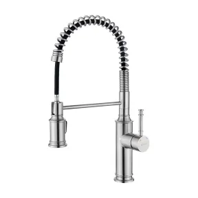 Grifo de cocina extraíble con pulverizador Ibergrif