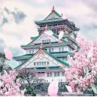 VUELOS a JAPÓN: IDA y VUELTA + 2 Maletas por 555€ desde BARCELONA