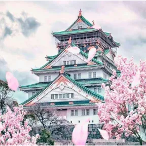 VUELOS a JAPÓN: IDA y VUELTA + 2 Maletas por 555€ desde BARCELONA