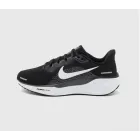 Zapatillas Nike PEGASUS 41 Running Asfalto - Tallas 38-40