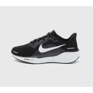 Zapatillas Nike PEGASUS 41 Running Asfalto - Tallas 38-40