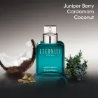 Eternity Essence de Calvin Klein: Perfume Masculino Duradero