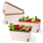 Maceta Rectángulo de Autorriego con Ventana y Drenaje 27cm