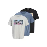 Tee de Hombre Jjindiana Crew Neck 3Pk de JACK & JONES
