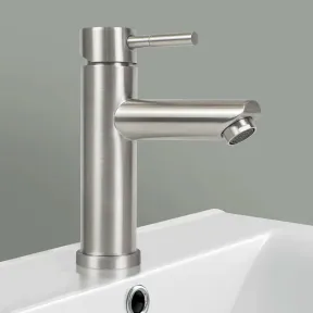 Grifo Monomando de Acero Inoxidable para Lavabo de Baño
