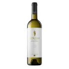 Chardonnay Atrium, Vino Blanco de 75 cl (5'71€ con suscripciones)