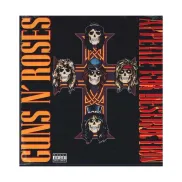 Importación LP Appetite For Destruction de Guns N' Roses