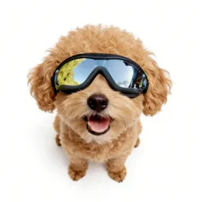 Gafas de Sol para Pequeños Perros: Protección UV y Ocular