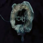 Initiatrix: Vinilo Ship Sket