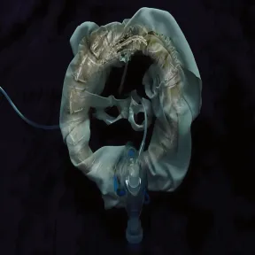 Initiatrix: Vinilo Ship Sket