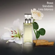 Fragancia floral para mujer CALVIN KLEIN EVERYONE 100ml