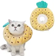 Collar Suave y Lindo para Gatitos tras Cirugía
