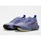 Goretex NIKE Pegasus Trail 5: Zapatillas para Trail