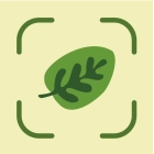 Identificación de Plantas GRATIS de por Vida