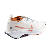 Zapatillas Nike Pegasus Trail 5 Gore-Tex en dos colores