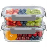 Pack 2 Recipientes de Vidrio Borosilicato 1040 ml