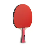 Pala de Tenis de Mesa Joola Team Junior