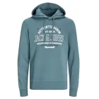 Sudadera Jack & Jones JJELOGO con capucha en oferta