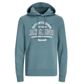 Sudadera Jack & Jones JJELOGO con capucha en oferta
