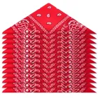 Aomig Pañuelo Pirata y Bandana Deportiva Unisex