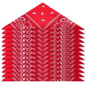 Aomig Pañuelo Pirata y Bandana Deportiva Unisex
