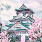 Japón en 16 días: Tokio, Kioto, Osaka, vuelos y hotel